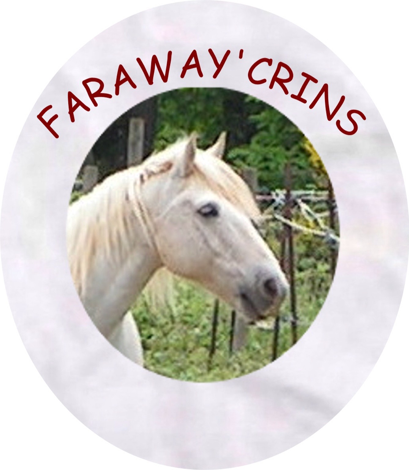 FARAWAY'CRINS